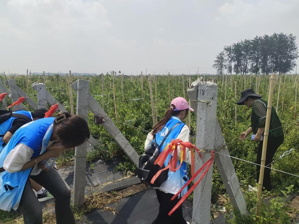 6e3897186ba34086bb4f15bca715ca95.jpg 6e3897186ba34086bb4f15bca715ca95.jpg