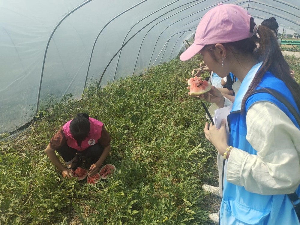 d7e4fadd23d0411f8b1004b69d1510b8.jpg d7e4fadd23d0411f8b1004b69d1510b8.jpg