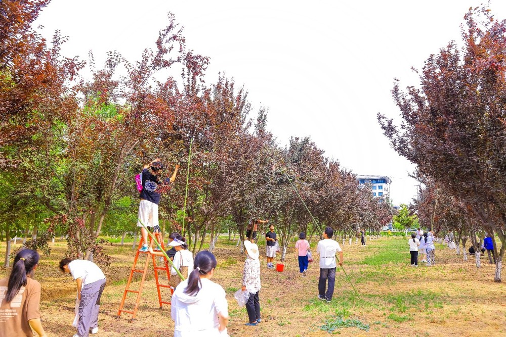 66ea297cdad543d08a1ed730561ff09d.jpg 66ea297cdad543d08a1ed730561ff09d.jpg