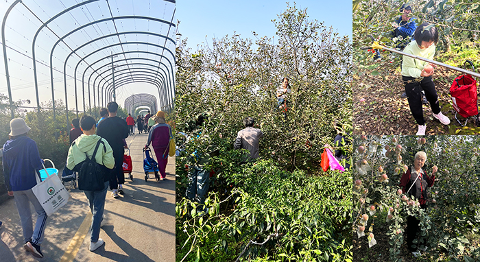 657e4161c78f497593885af74044e483.jpg 657e4161c78f497593885af74044e483.jpg