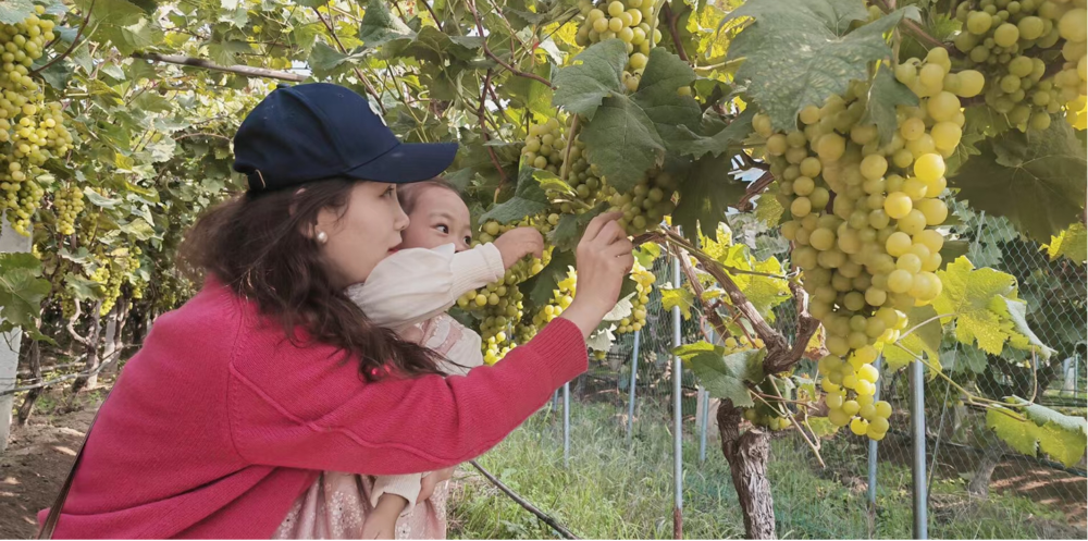 136ef92866ef468ab8c4fa41a7f8e51f.png 136ef92866ef468ab8c4fa41a7f8e51f.png