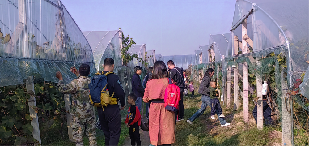 92302d4babc54643b5dce62ecf321049.png 92302d4babc54643b5dce62ecf321049.png