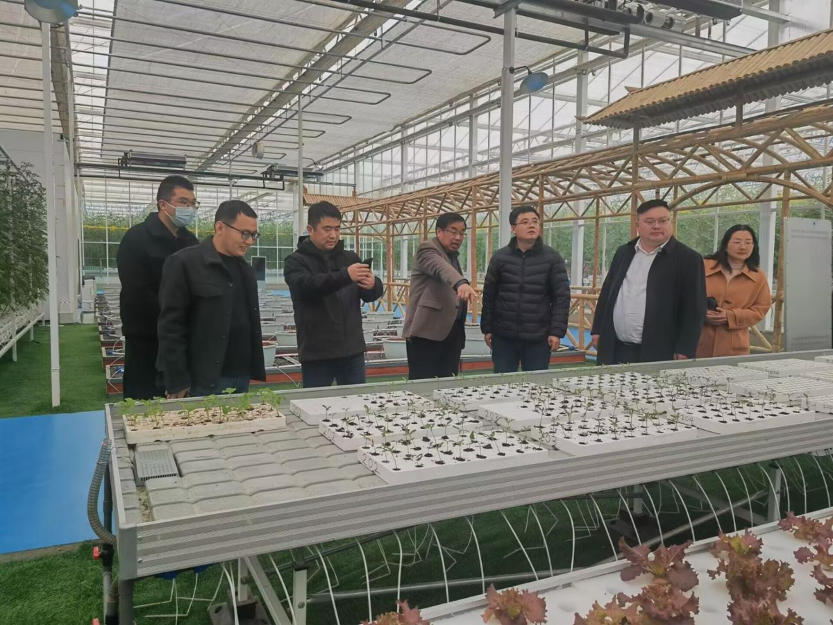 ee39dc8ad0264558be531f8f063dc38e.png ee39dc8ad0264558be531f8f063dc38e.png