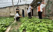 相山区蔬果基地考察